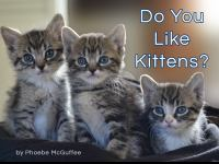 Do_You_Like_Kittens_